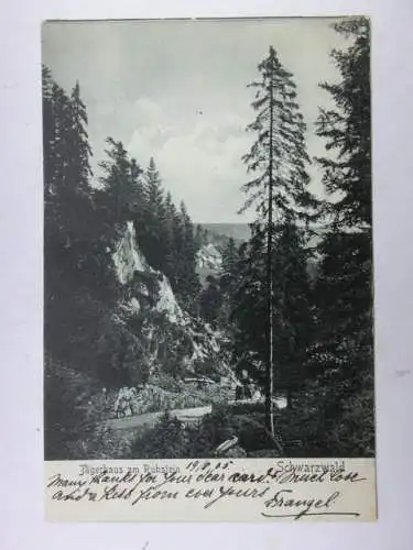 Alte AK Schwarzwald Jägerhaus Ruhstein 1905 [aU413]