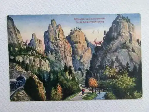 Alte AK Höllental Schwarzwald Hirschsprung um 1925 [aU573]