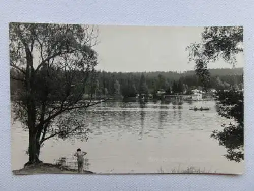 Alte AK Neudorf Birnbaumteich Harzgerode 1961 [aU626]