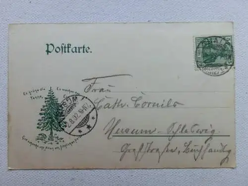 Alte AK Bodetal Bodekessel Harz 1902 [aU637]