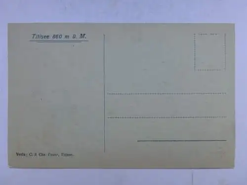 Alte AK Titisee Schwarzwald um 1930 [aU660]