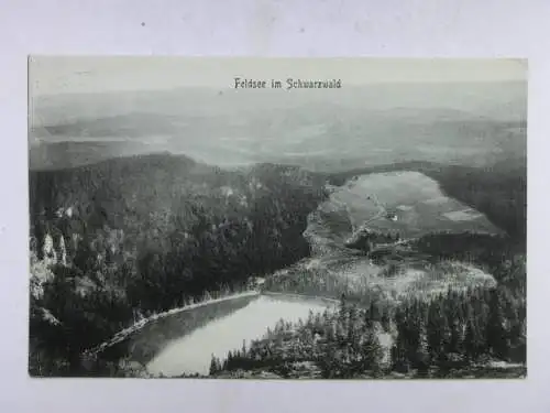 Alte AK Feldsee Schwarzwald 1910 [B1055]