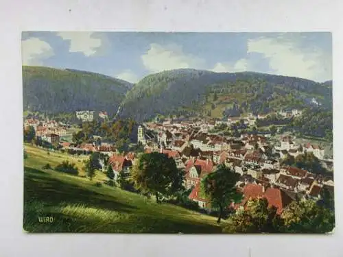 Alte AK Triberg Schwarzwald um 1925 [B1070]