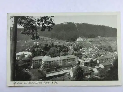 Alte AK Wildbad Mit Sommerberg 1917 [W598]