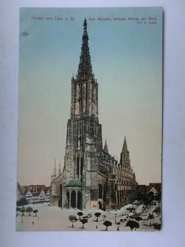 Alte AK Ulm Münster um 1930 [B1205]