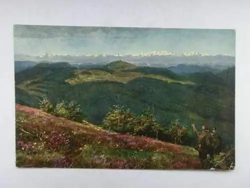 Alte AK Feldberg Blick a. Alpenkette u. Herzogenhorn [B1235]