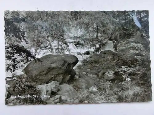 Alte AK Okertal Harz Der Frosch [B1243]