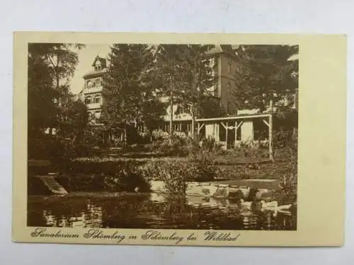 Alte AK Schömberg Sanatorium Wildbad 1927 [W590]