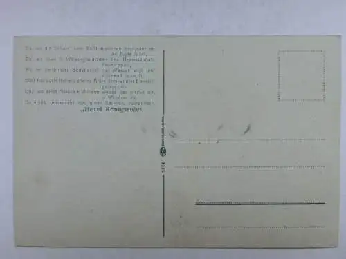 Alte AK Bodetal Königsruhe Hexentanzplatz um 1925 [W711]