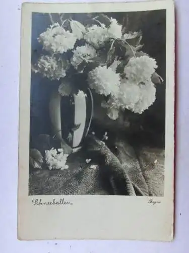 Alte AK Grußkarte Schneeballen Blumen Vase [Z907]