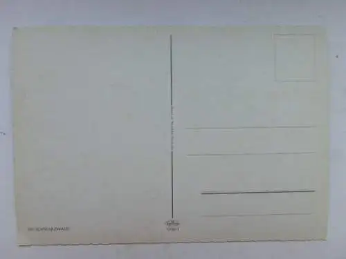 Alte AK Schwarzwald Trachten Schwarzwaldhaus [Z1034]