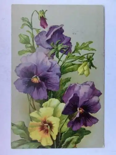 Alte AK Grußkarte Stiefmütterchen 1915 [R475]