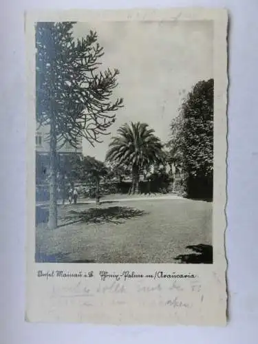 Alte AK Insel Mainau Bodensee 1939 [R652]