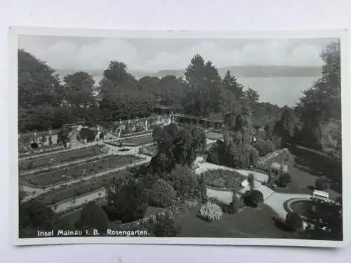 Alte AK Insel Mainau Rosengarten um 1920 [R610]