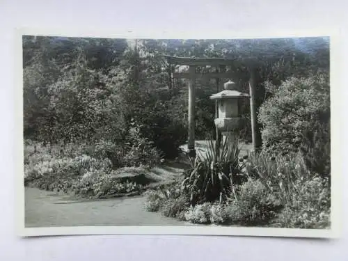 Alte AK Karlsruhe Stadtgarten Jap. Garten [R455]
