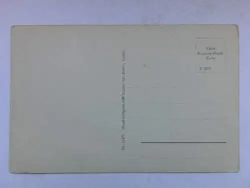 Alte AK Bodetal Plattform Roßtrappe um 1920 [R494]