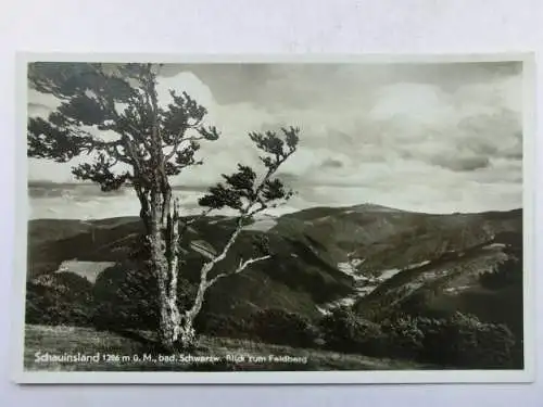Alte AK Schauinsland Schwarzwald 1942 [R590]