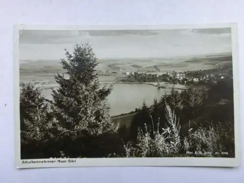 Alte AK Schalkenmehrener Maar Schalkenmehren [R706]