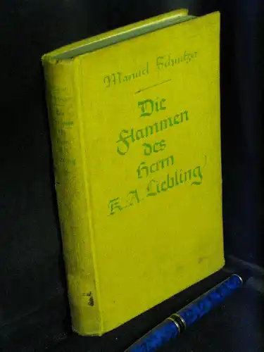 Schnitzer, Manuel: Die Flammen des Herrn K.A. Liebling - Ein Roman aus dem Alltag. 