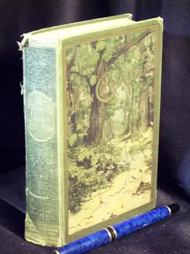 May, Karl: In den Cordilleren - Reiseerzählungen - aus der Reihe: Karl May`s gesammelte Reiseerzählungen - Band: XIII LAGERRÄUMUNG. 