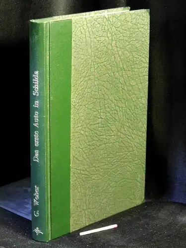 Weber, Gottwalt: Das erste Auto in Schilda - Eine urdrollige Geschichte in dreiunddreißig Kapiteln. 