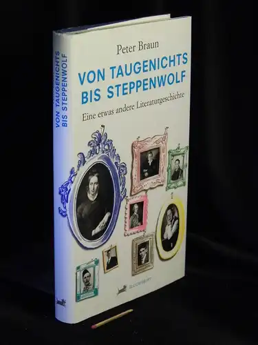 Braun, Peter: Von Taugenichts bis Steppenwolf - Eine etwas andere Literaturgeschichte. 