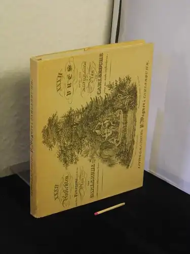 Wagner, P. Lithographie: Erinnerungen an Carlsruhe - XXXII Ansichten mit dem Panorama und Plan von Carlsruhe (Umschlagtitel). 