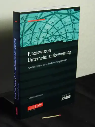 Castedello, Marc und Stefan Schöniger: Praxiswissen Unternehmensbewertung : Kurzbeiträge zu aktuellen Bewertungsthemen. 
