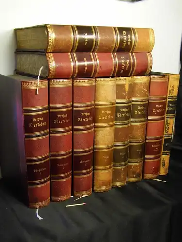 Pechuel-Loesche (Herausgeber): Brehms Tierleben - Allgemeine Kunde des Tierreichs - Erster bis Zehnter Band (komplett) - Mit 1910 Abbildungen im Text, 11 Karten und 180 Tafeln in Farbendruck und Holzschnitt -  LAGERRÄUMUNG. 