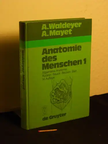 Waldeyer, Anton sowie U. Waldeyer - Anton Mayet (Fortführung): Anatomie des Menschen - für Studierende und Ärzte - dargestellt nach systematischen, topographischen und praktischen Gesichtspunkten...