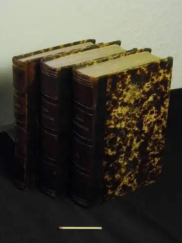 Reichenbach, Ludovico: Flora germanica   excursoria ex affinitate regni vegetabilis naturali disposita, sive principia synopseos plantarum in Germania terrisque in Europa media adjacentibus sponte.. 