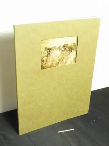 Karbe, Joachim: Internationale Hartgesteinsymposien 1992/1993 in Altkünkendorf / Uckermark - Findlinge. 