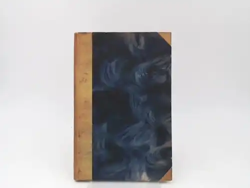 Alten, Marie von (geb. Freiin von Diepenbroick-Grüter): Briefe von meiner Fahrt ins Heilige Land. Frühling 1910. Als Manuskript gedruckt. 