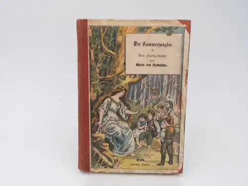 Nathusius, Marie von: Die Kammerjungfer. Eine Stadtgeschichte. 