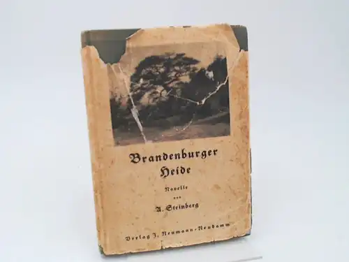 Steinberg, Albert: Brandenburger Heide. Novelle von Albert Steinberg. 