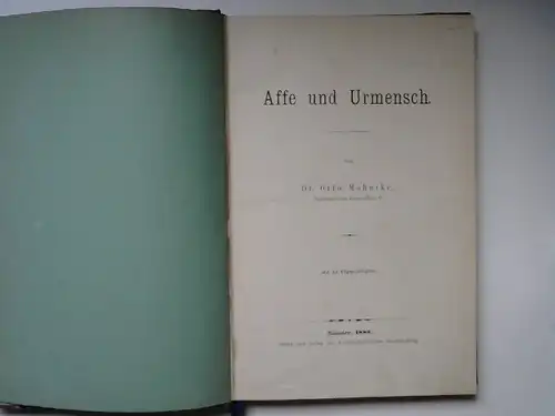 Mohnike, Otto: Affe und Urmensch. 
