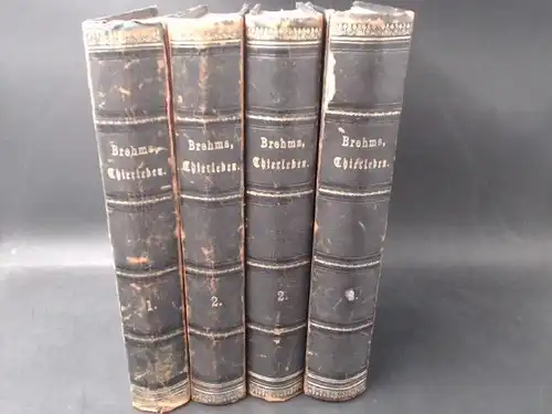 Brehm, A. E: Brehms Thierleben [Tierleben]. Allgemeine Kunde des Thierreichs [Tierreichs]: Konvolut mit 4 Bänden: 1) Erster Band: Erste Abtheilung [Abteilung] - Säugethiere [Säugetiere]: Affen und Halbaffen, Flatterthiere [Flattertiere], Raubthiere [Ra...