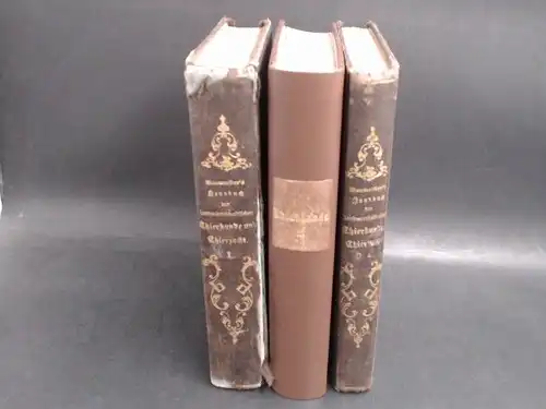 Baumeister, Wilh: 3 Bände: Handbuch der landwirthschaftlichen [landwirtschaftlichen] Thierkunde [Tierkunde] und Thierzucht [Tierzucht] für Thierärzte [Tierärzte], Landwirthe [Landwirte], Gestütsbeamte etc. in 3 Bänden: 1) Erster.. 