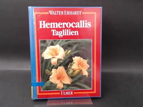 Erhardt, Walter: Hemerocallis. Taglilien. 