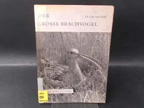 Frisch, Otto von: Der große Brachvogel (Numenius arquata L.). [Die neue Brehm-Bücherei]. 