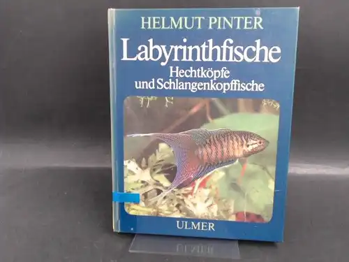 Pinter, Helmut: Labyrinthfische. Hechtköpfe und Schlangenkopffische. 