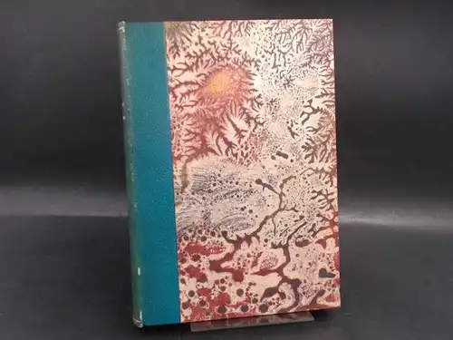 Paul, Jean: Flegeljahre. Eine Biographie. 