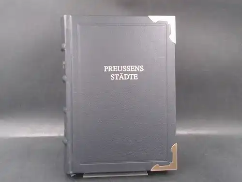 Silbergleit, Heinrich (Hg.): Preussens [Preußens] Städte. 