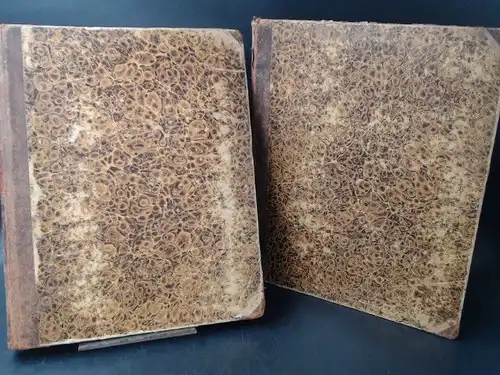 Allom, Thomas: Constantinopel und die malerische Gegend der sieben Kirchen... in zwei Bänden. 