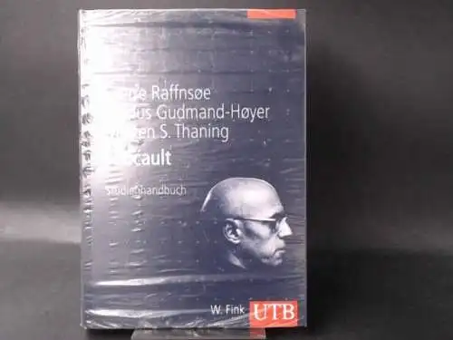 Raffnsøe, Sverre: Foucault. Studienhandbuch. 