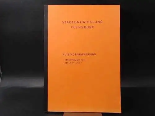 Amt für  Stadtentwicklung und Statistik (Hg.) und Vera (Mitarbeitende) Braun: Stadtentwicklung Flensburg. Altstadtsanierung - Strukturanalyse - Zielkatalog. 