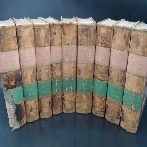 Büffon [Buffon], Georges Louis Leclerc de: Büffon`s sämmtliche Werke, sammt den Ergänzungen, nach der Klassifikation von G. Cuvier. Vollständig in 9 Bänden. 