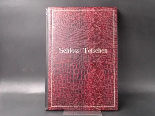 Morgenstern, Karl: Das Schloß Tetschen im Wandel der deutsch - österreichischen Geschichte. 