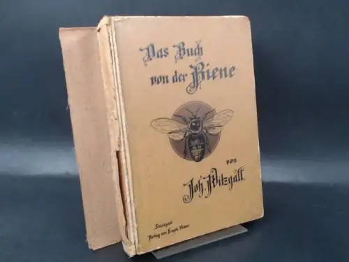 Witzgall, J: Das Buch von der Biene. Unter Mitwirkung von Lehrer Elsäßer. 