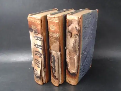 Ebel, J. G: 3 Bücher zusammen: Anleitung, auf die nützlichste und genussvollste Art die Schweitz zu bereisen. Zweyter, dritter und vierter Theil. 